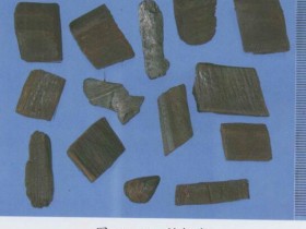 棕榈的功效与作用,中药棕榈炭图片