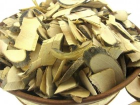 毛冬青的功效与作用及禁忌,中药毛冬青图片