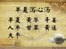 半夏泻心汤组成,方歌方解,医案分析,功效与作用