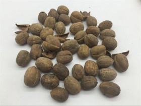 三物备急丸组成,医案,方歌方解,功效与作用