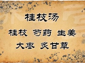 桂枝汤医案解析