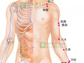 肺经不通调理方法及最佳保养时间