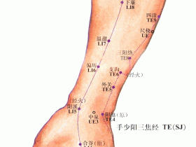 合谷穴的准确位置图，合谷穴的功效与作用