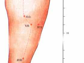 承山穴的准确位置图，承山穴的作用