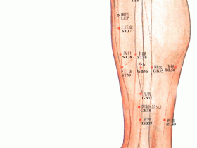 阳陵泉穴的准确位置图，阳陵泉穴位的作用