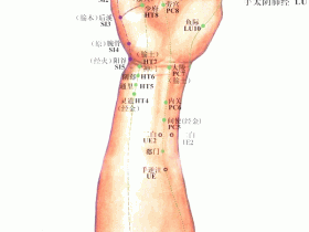 通里穴位位置图，通里穴的作用