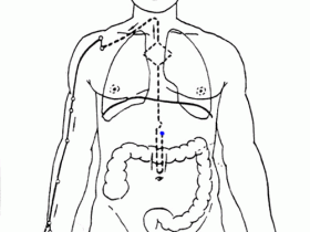十二正经循行路线图，十二时辰经络养生对照表