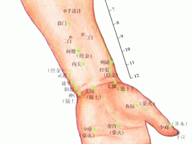 列缺的准确位置图，列缺穴的作用