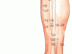冲阳穴位位置图，冲阳穴的作用与功效