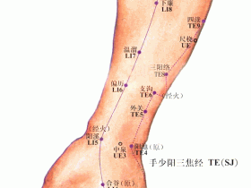 尺泽穴的准确位置图，尺泽穴的作用