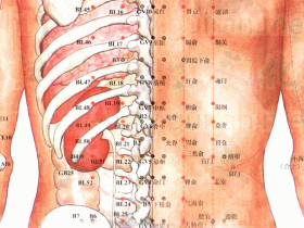 天宗穴的准确位置图，天宗穴的作用