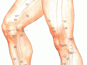 箕门穴位位置图，箕门穴位的作用