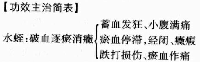 水蛭的功效与作用