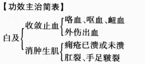 白及的功效与作用