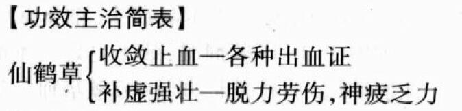 仙鹤草的功效与作用