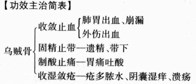 乌贼骨的功效与作用