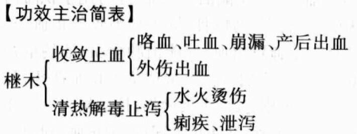 檵木的功效与作用