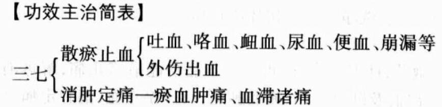 三七的功效与作用