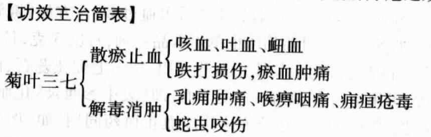 菊三七的功效与作用