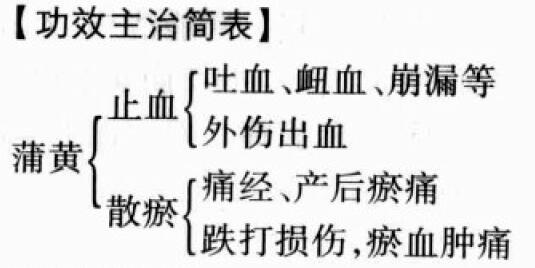 蒲黄的功效与作用