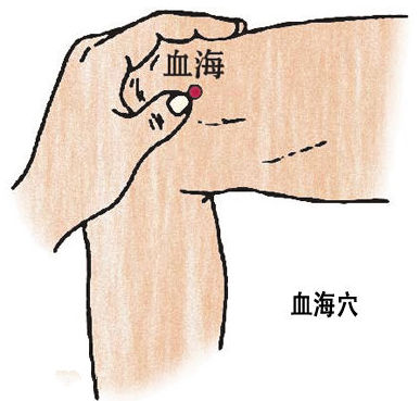 血海穴的位置图