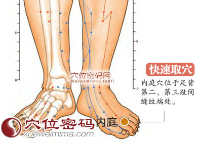 内庭穴的准确位置图