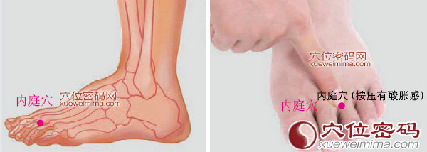 内庭穴的准确位置图