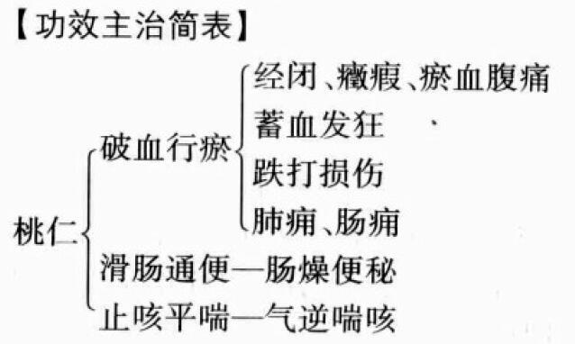 桃仁的功效与作用