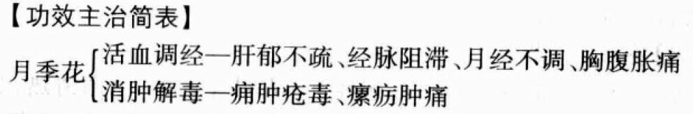 月季花的功效与作用