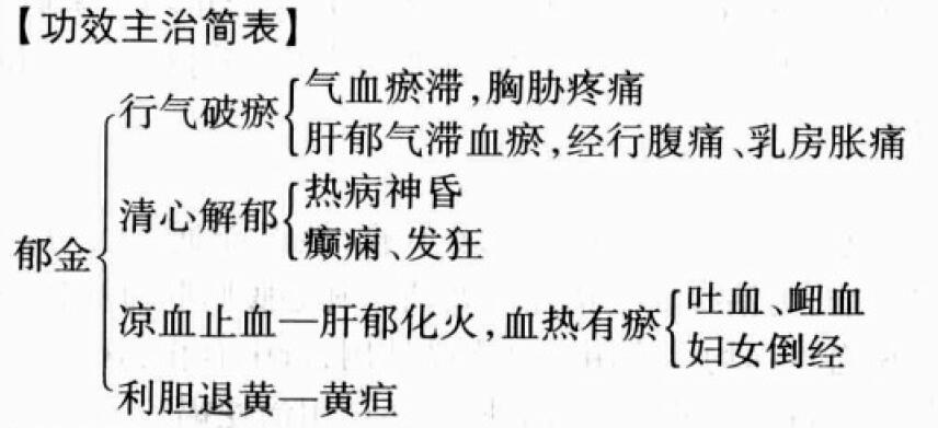 郁金的功效与作用