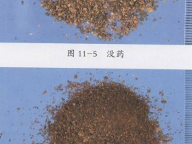 没药的功效与作用及禁忌,中药没药图片