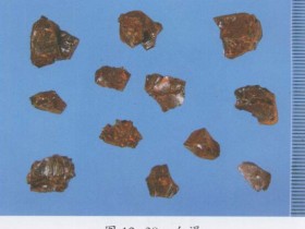 血竭的功效与作用及禁忌,中药血竭图片