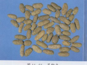 五灵脂的功效与作用及禁忌,中药五灵脂图片