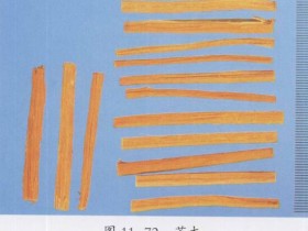 苏木的功效与作用及禁忌,中药苏木图片