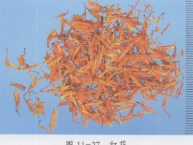 红花（藏红花）的功效与作用及禁忌,中药红花图片