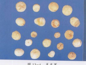 瓜蒌薤白半夏汤加减治疗胸痹心痛