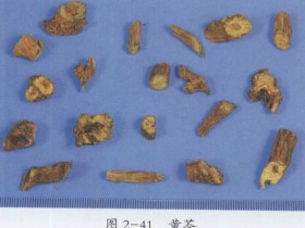 风热感冒中医治疗医案一则