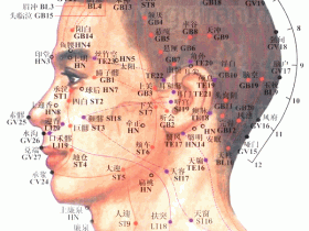 耳和髎穴的准确位置图