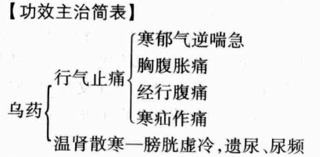 乌药的功效与作用