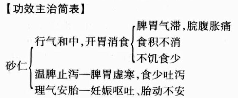 砂仁的功效与作用