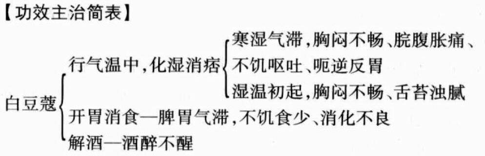 白豆蔻的功效与作用