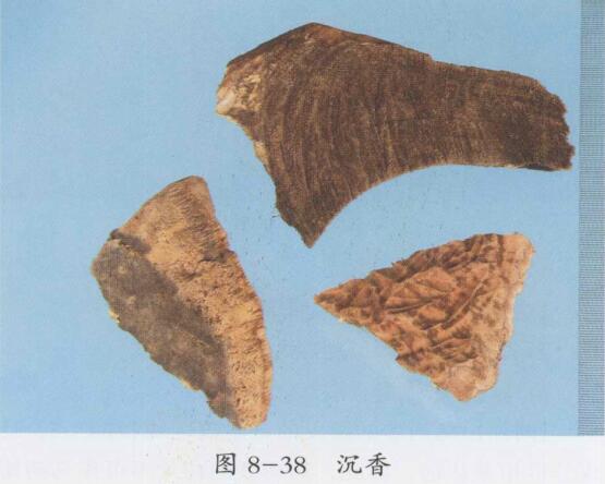 沉香