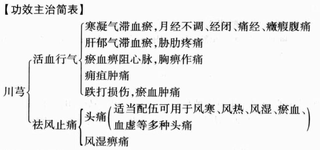 川芎的功效与作用