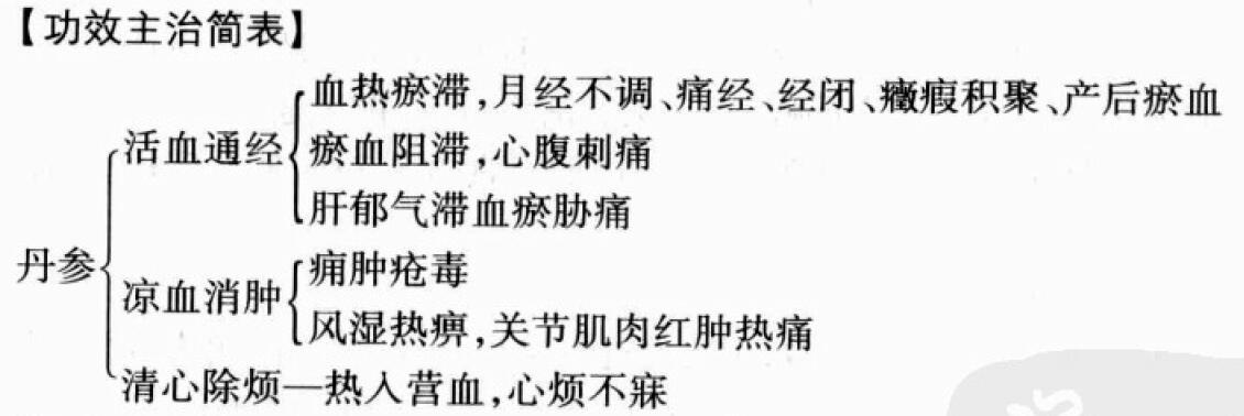 丹参的功效与作用