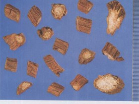 丹参的功效与作用及禁忌,中药丹参图片