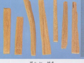 檀香的功效与作用及禁忌,中药檀香图片