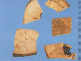 香橼的功效与作用,中药香橼图片