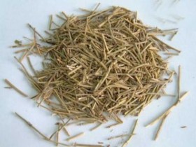 云南四大名医吴佩衡治疗妇科疾病的临床医案