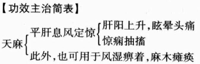 天麻的功效与作用