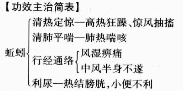 地龙（蚯蚓）的功效与作用及禁忌